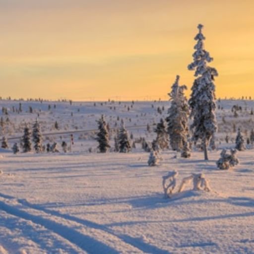 Ivalo