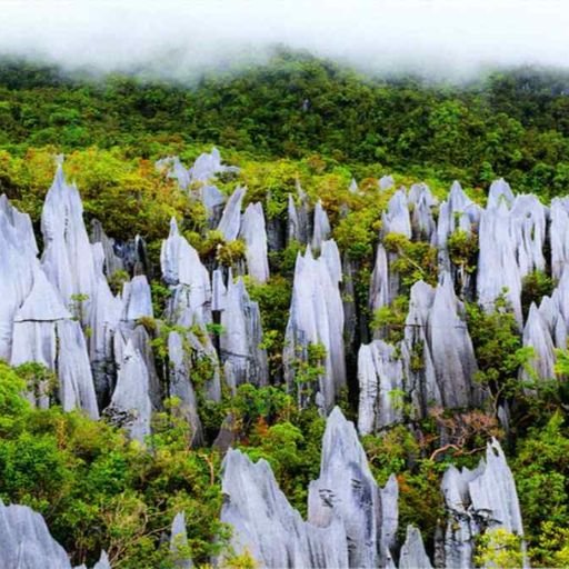 Mulu