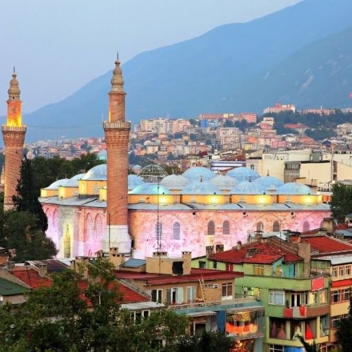 Bursa