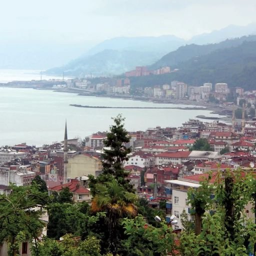 Rize